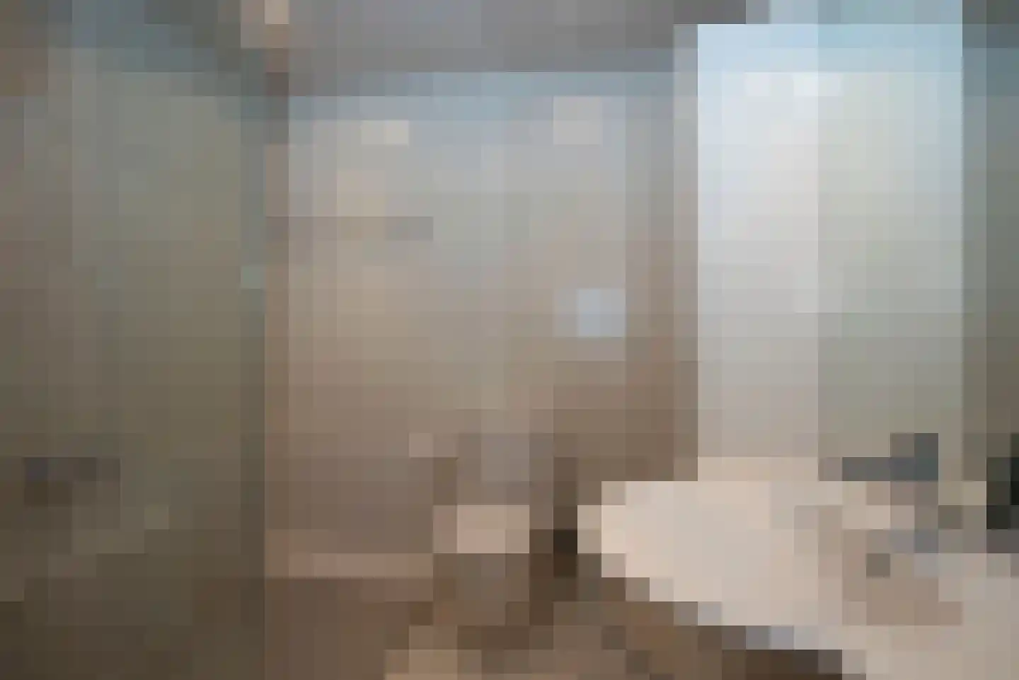 Seringenstraat 17 Borne thumbnail 21