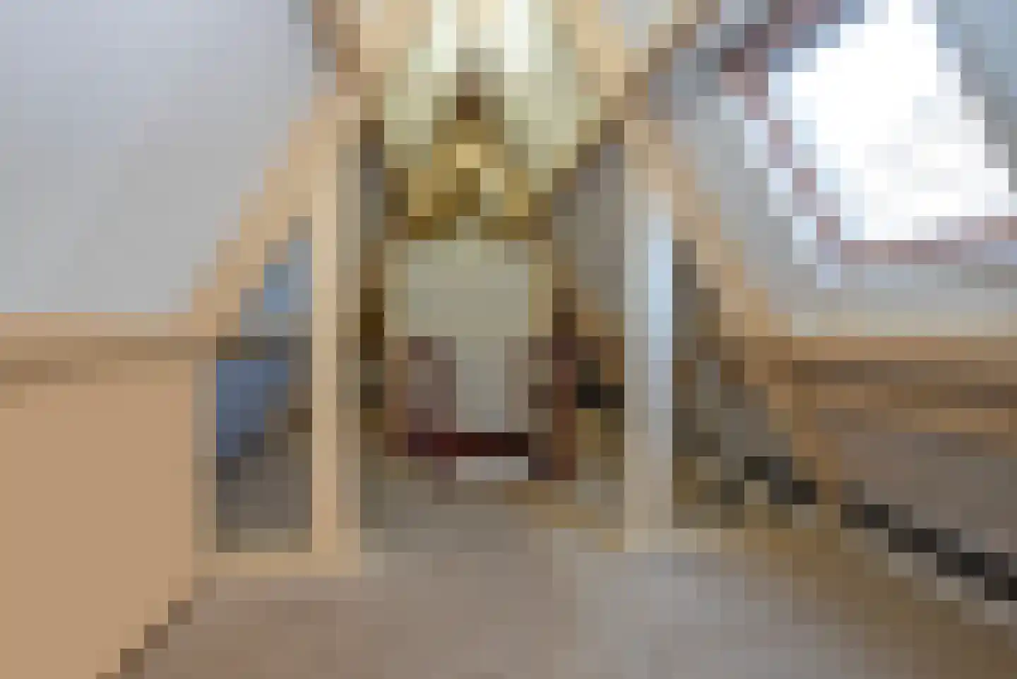 Seringenstraat 17 Borne thumbnail 23