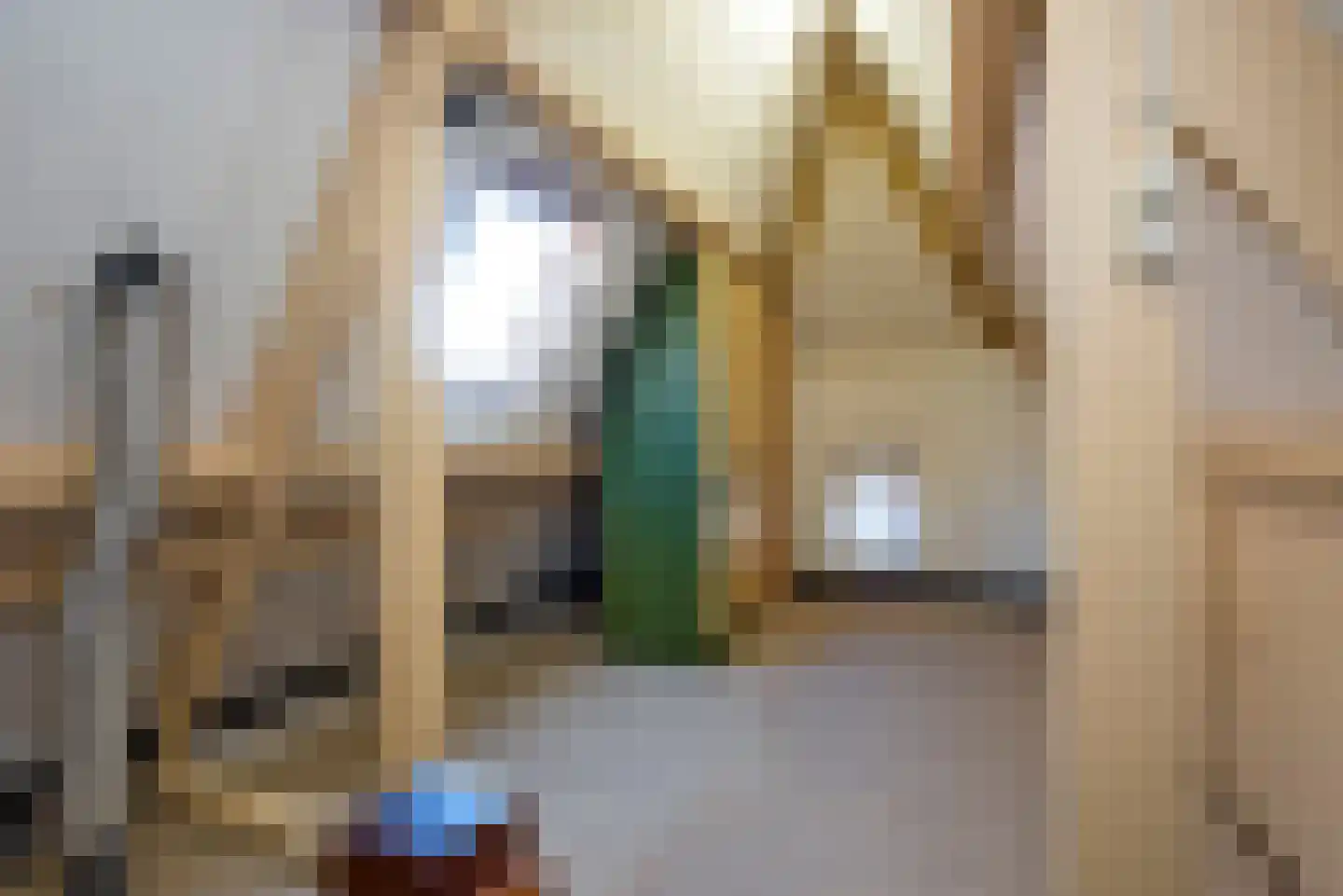 Seringenstraat 17 Borne thumbnail 24