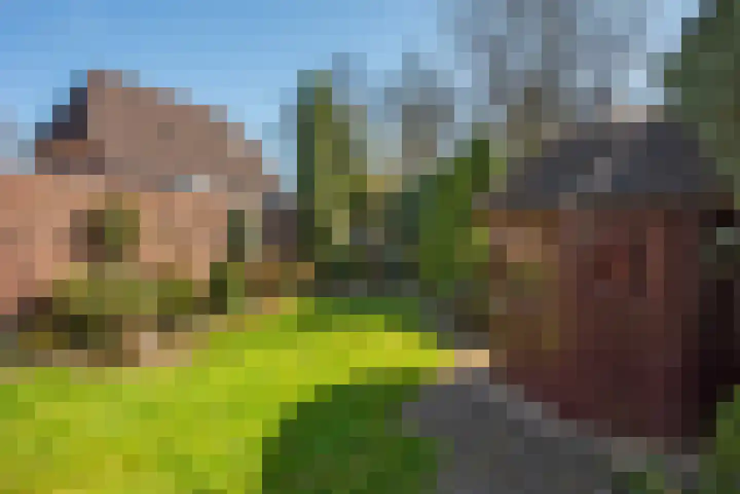 Seringenstraat 17 Borne thumbnail 25
