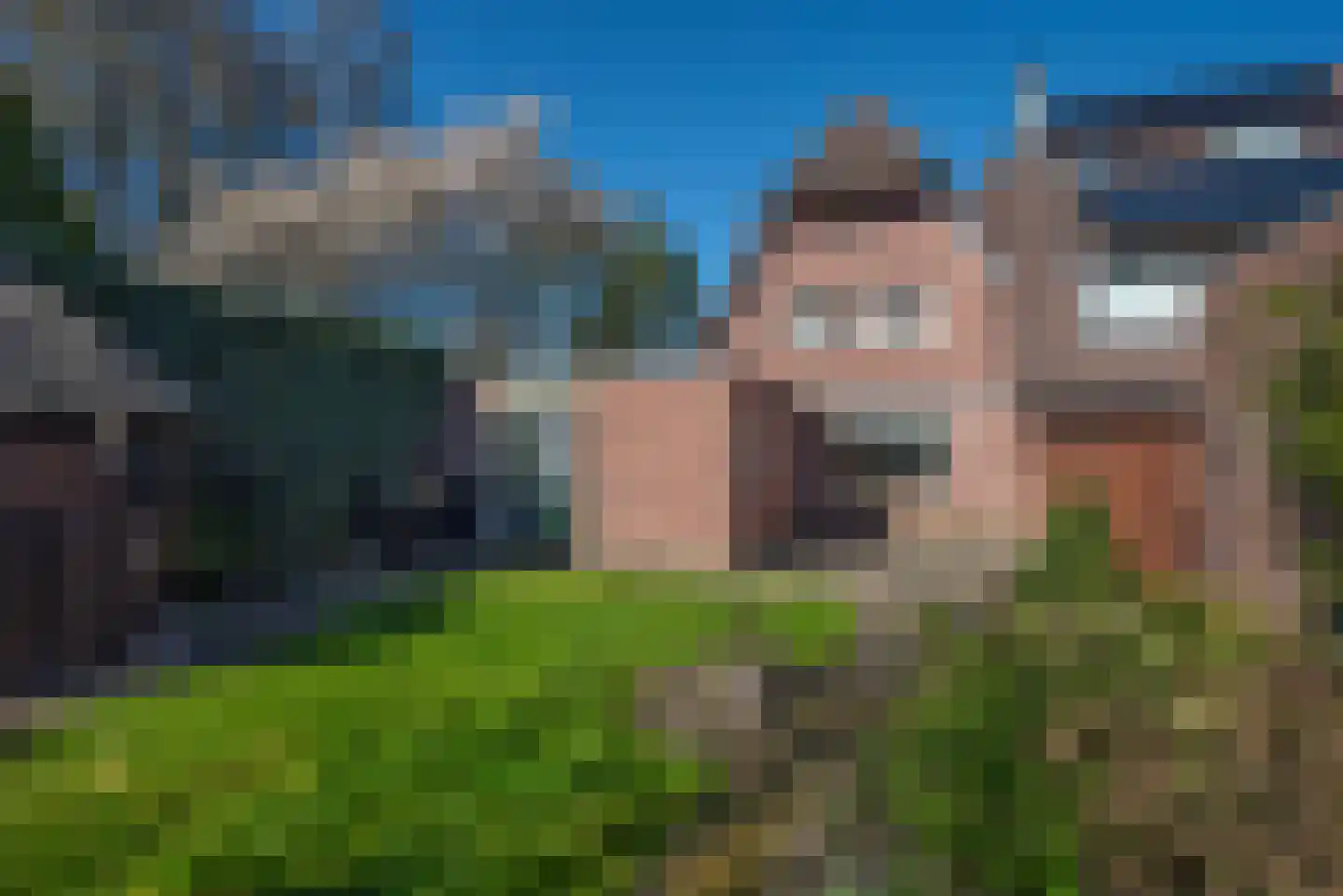 Seringenstraat 17 Borne thumbnail 27