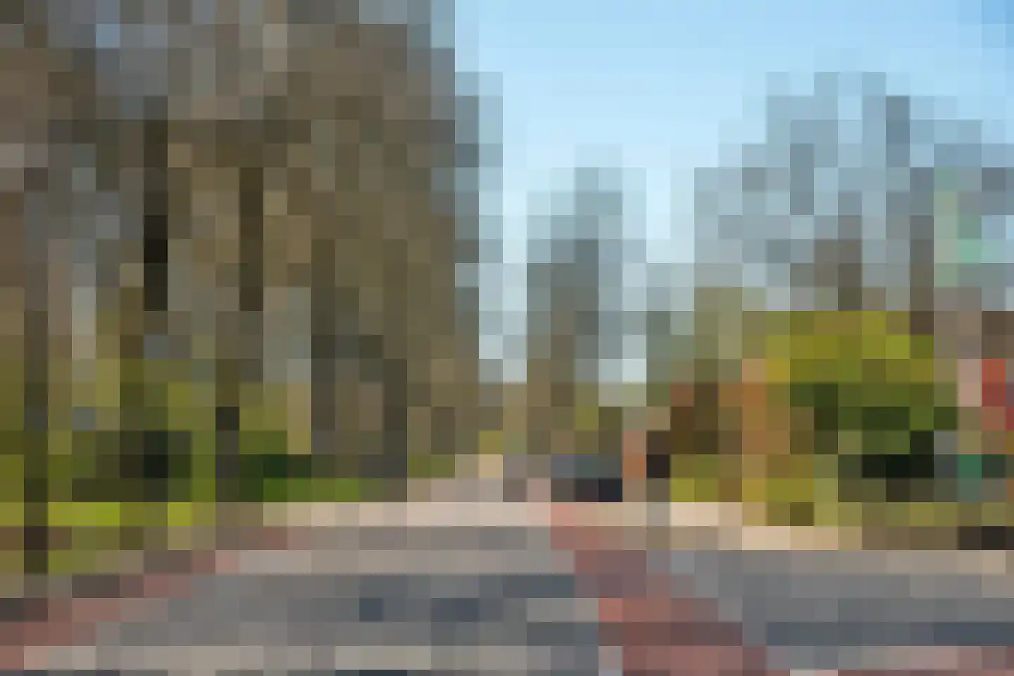 Seringenstraat 17 Borne thumbnail 30