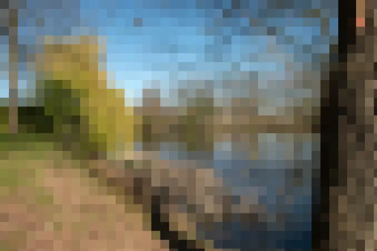 Seringenstraat 17 Borne thumbnail 31