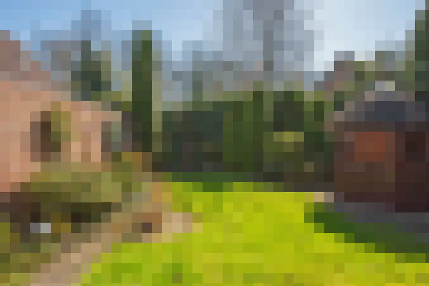 Seringenstraat 17 Borne thumbnail 4