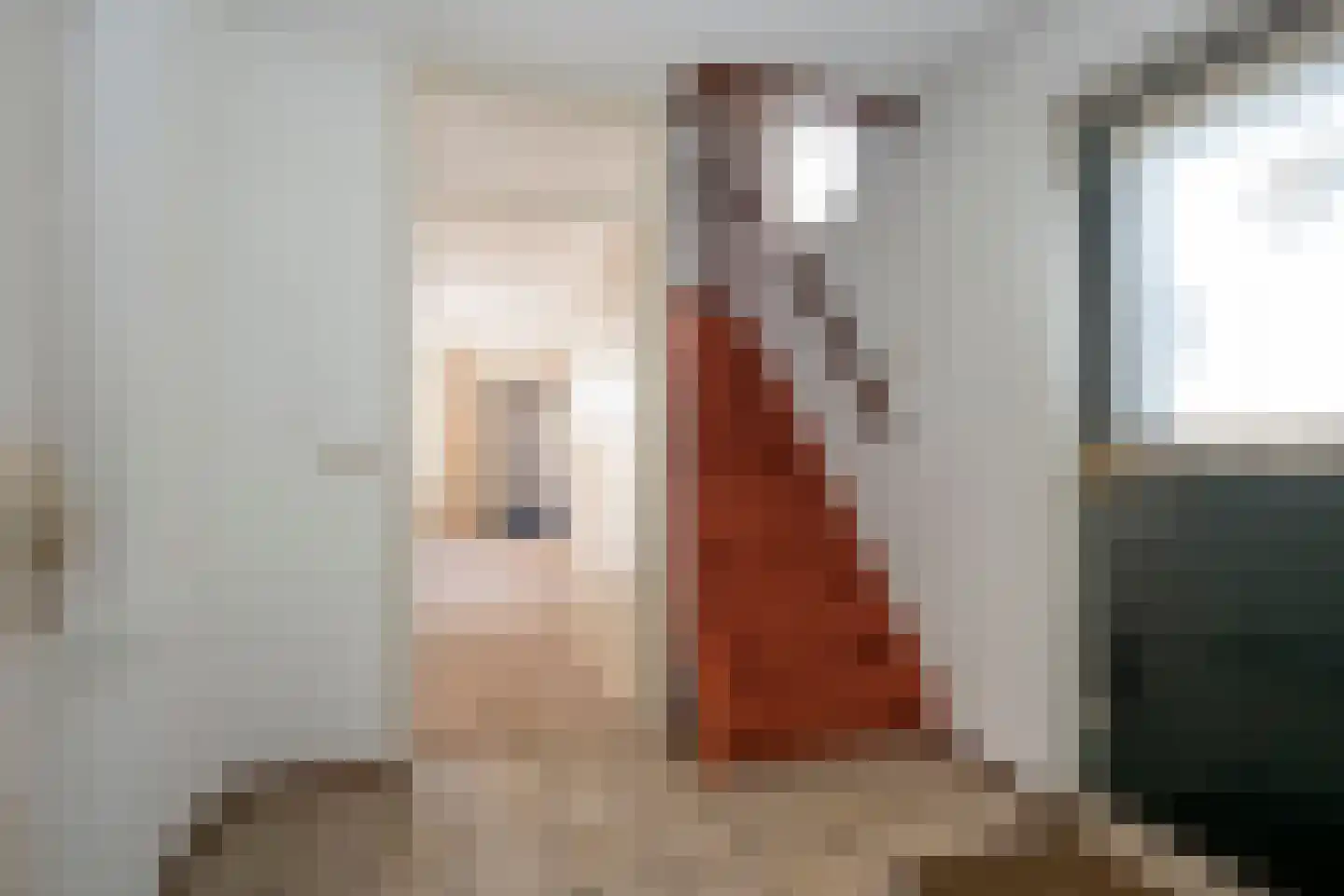 Seringenstraat 17 Borne thumbnail 6