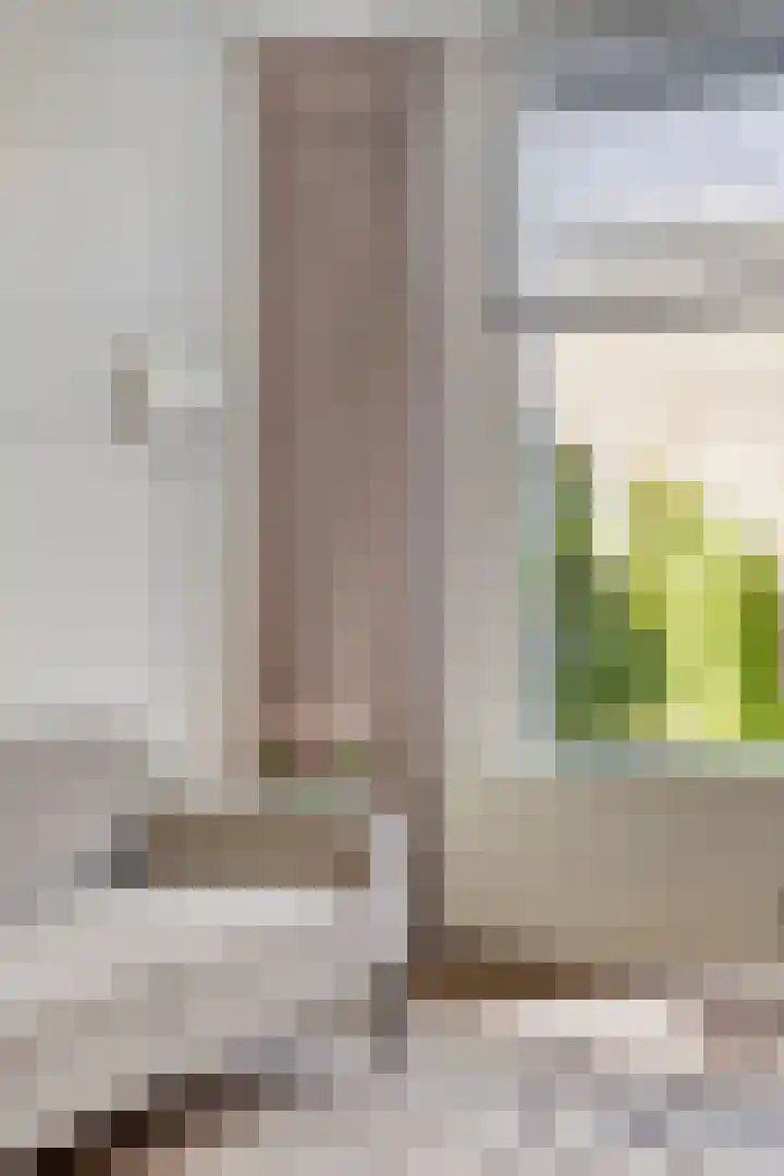 Seringenstraat 17 Zwolle thumbnail 10