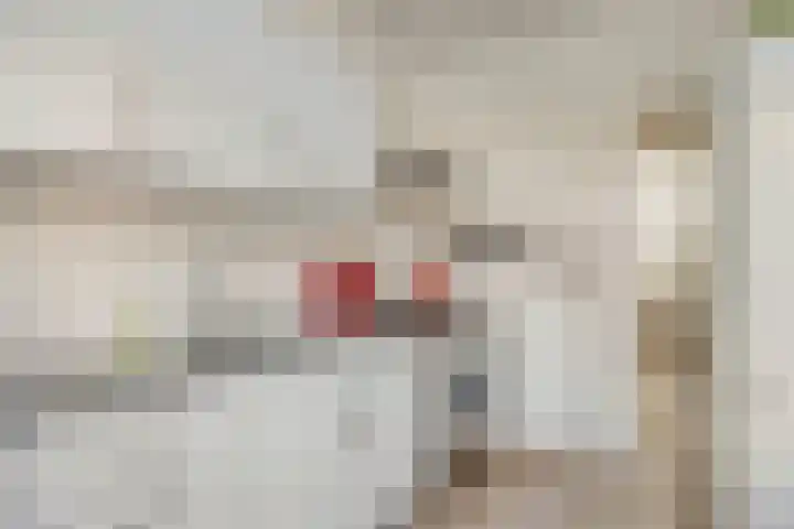 Seringenstraat 17 Zwolle thumbnail 15