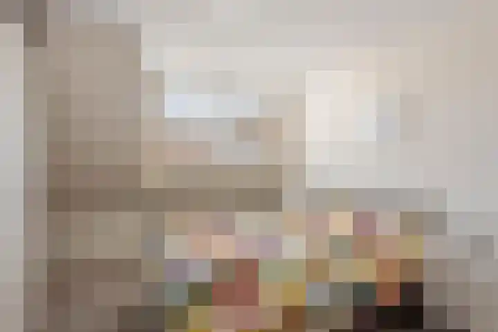 Seringenstraat 17 Zwolle thumbnail 20