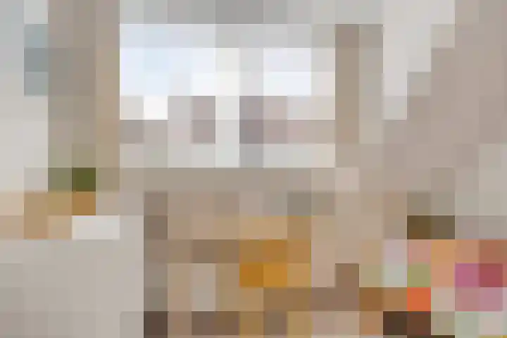 Seringenstraat 17 Zwolle thumbnail 25