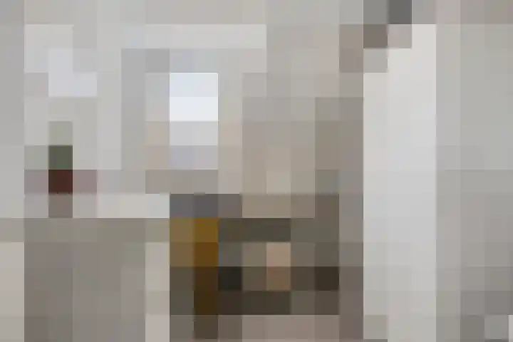 Seringenstraat 17 Zwolle thumbnail 26