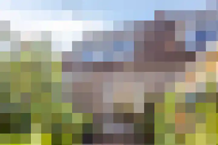 Seringenstraat 17 Zwolle thumbnail 30