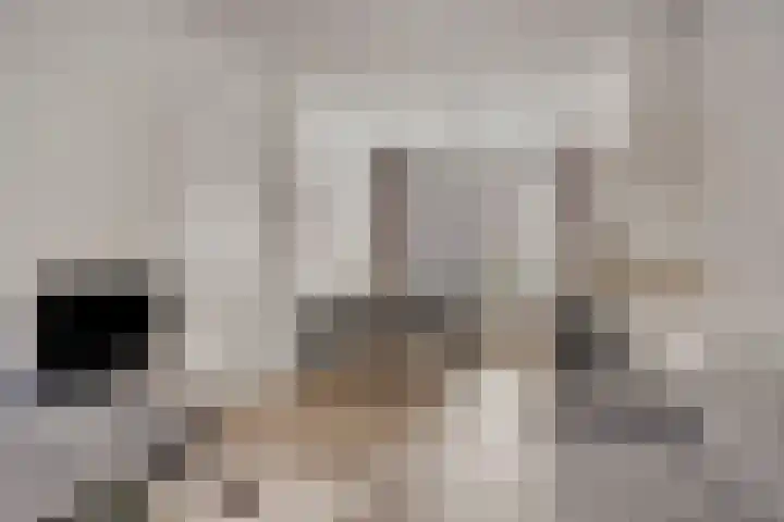 Seringenstraat 17 Zwolle thumbnail 7