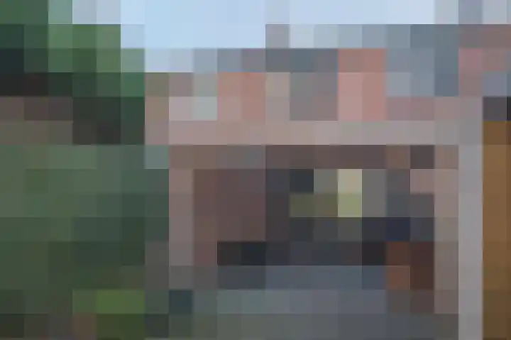 Seringenstraat 19 Musselkanaal thumbnail 19