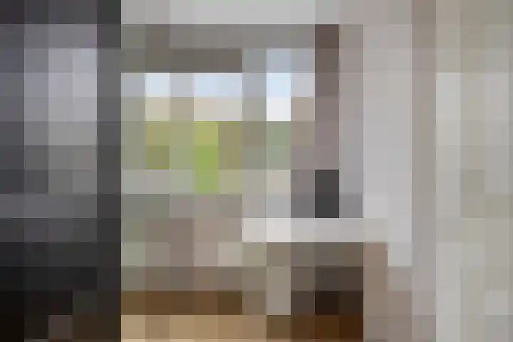 Seringenstraat 19 Oosterhout thumbnail 15