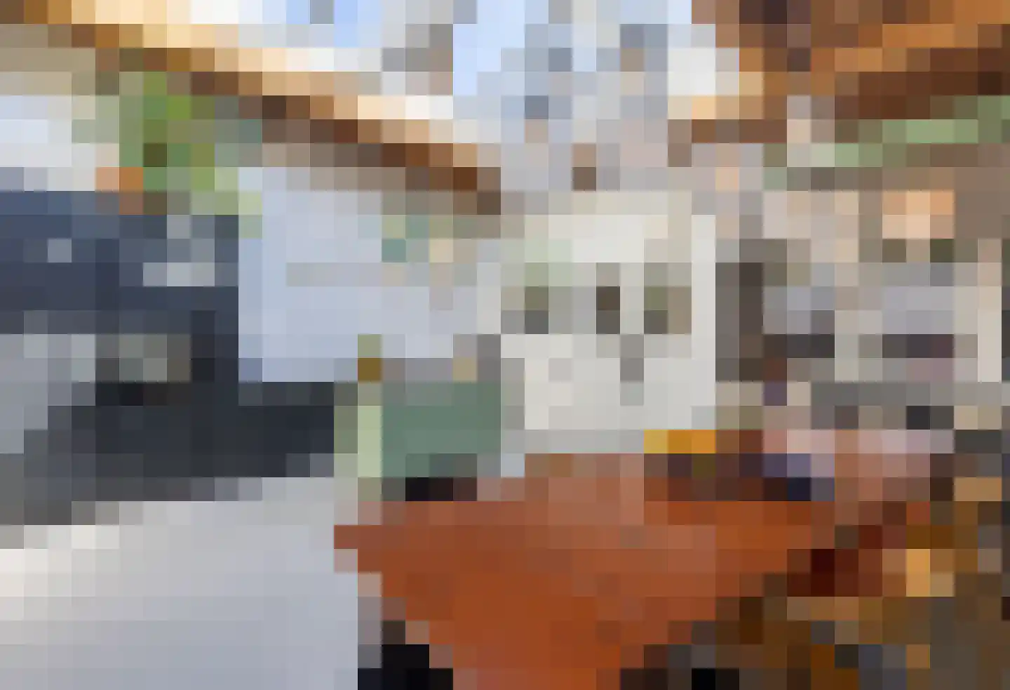 Seringenstraat 19 Zwolle thumbnail 12