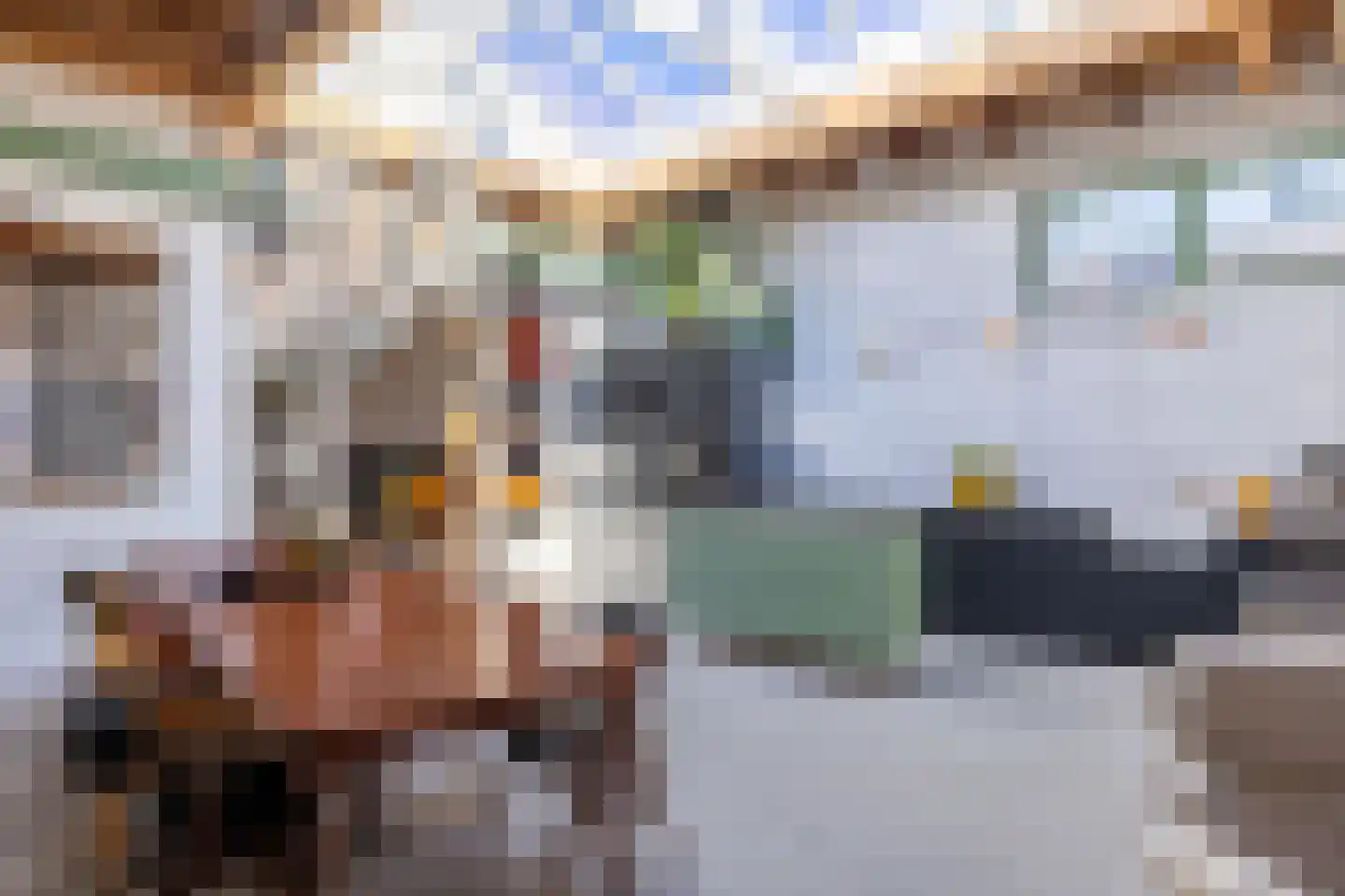Seringenstraat 19 Zwolle thumbnail 13