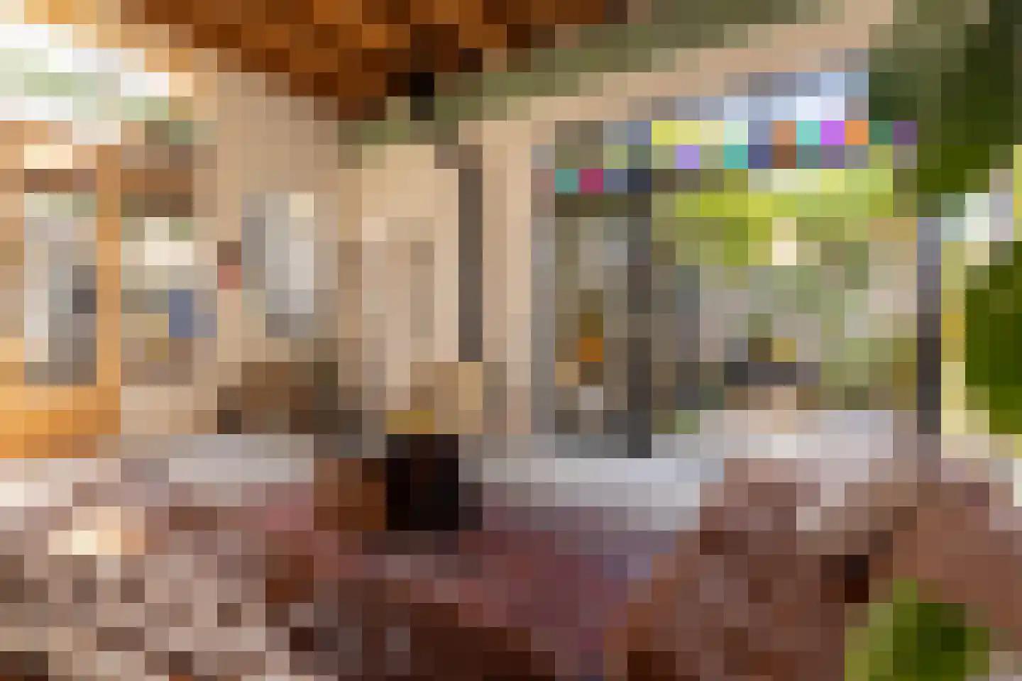 Seringenstraat 19 Zwolle thumbnail 20