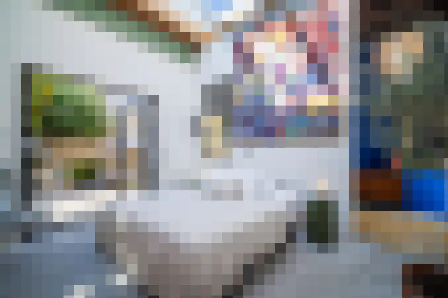 Seringenstraat 19 Zwolle thumbnail 24