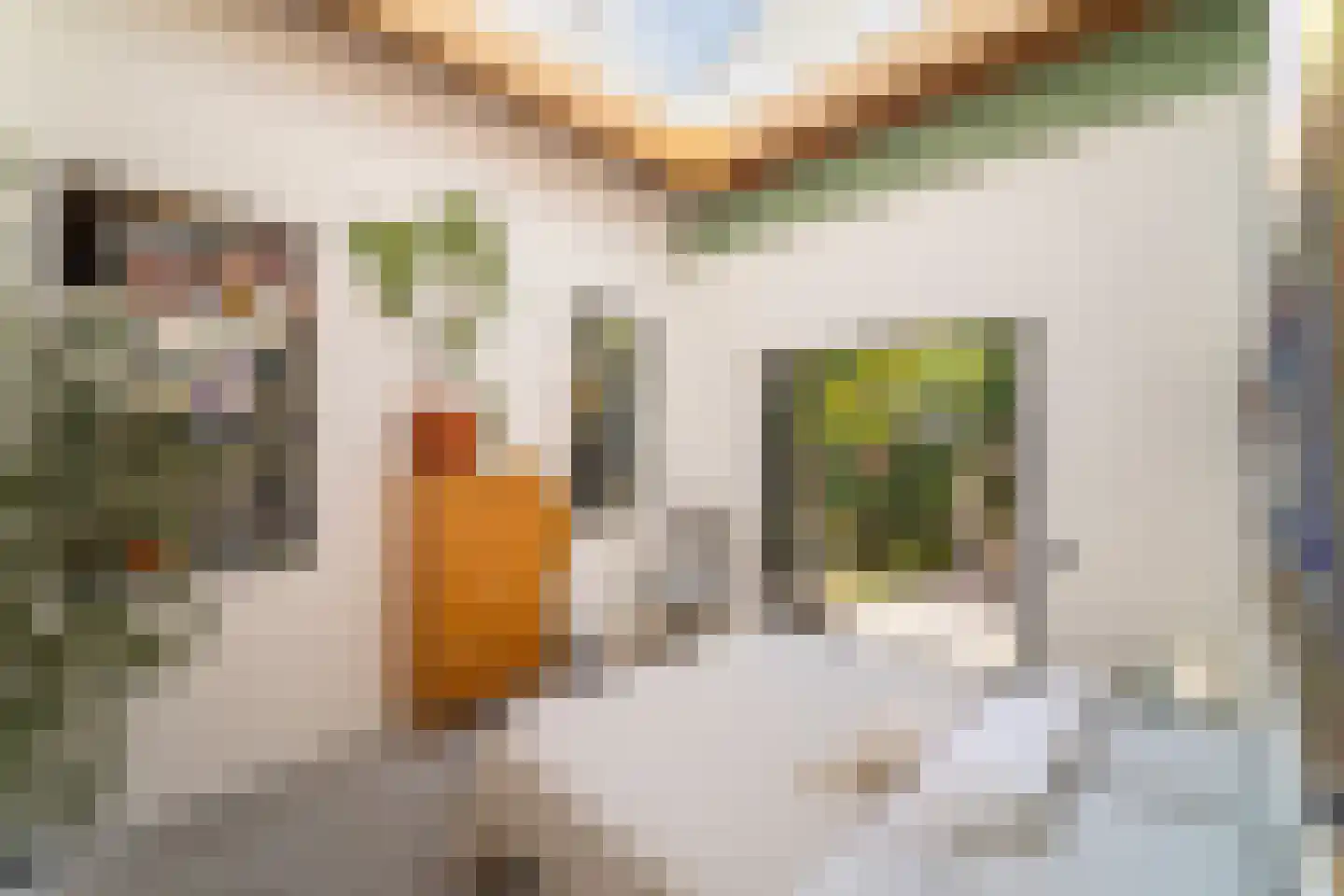Seringenstraat 19 Zwolle thumbnail 26