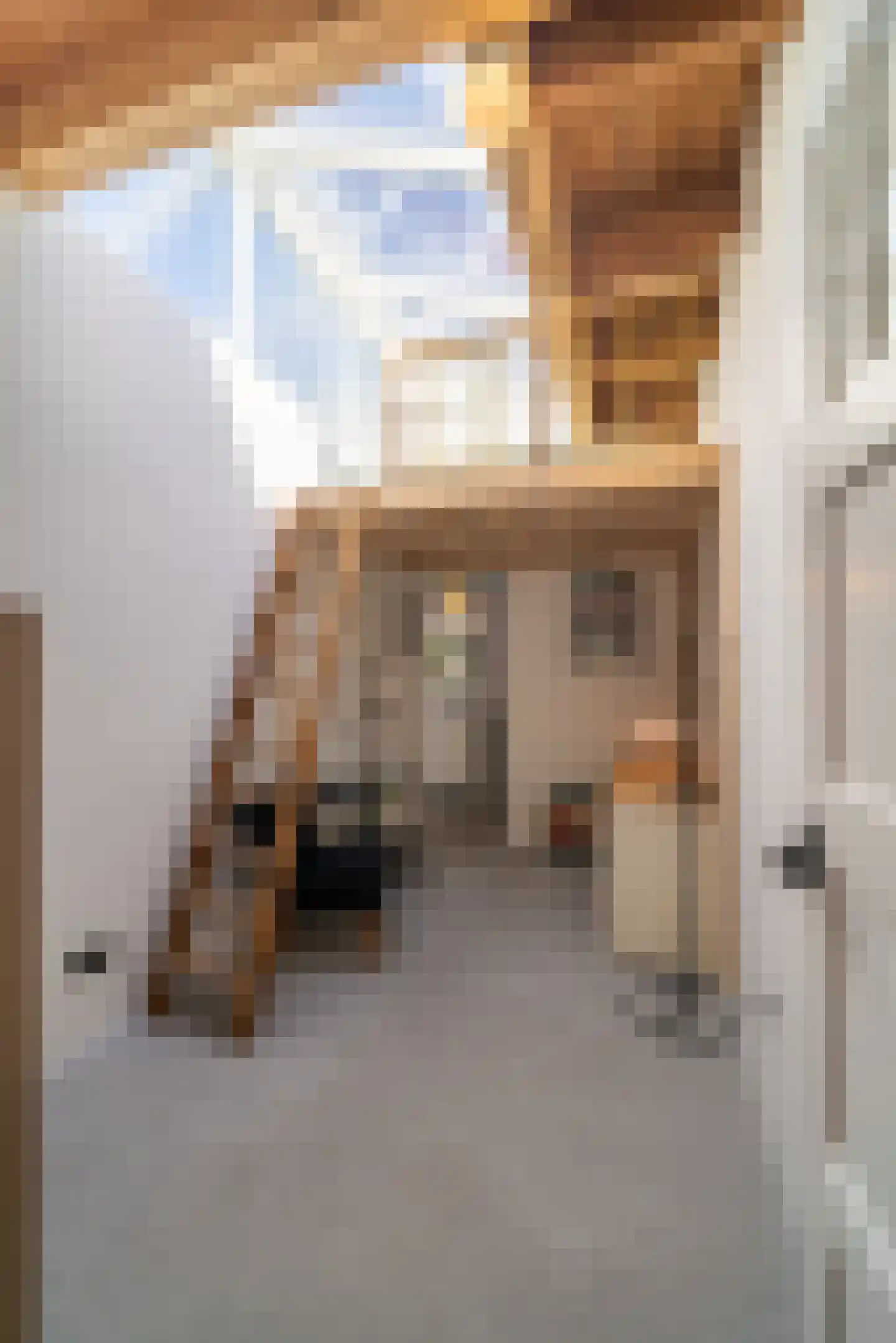 Seringenstraat 19 Zwolle thumbnail 32