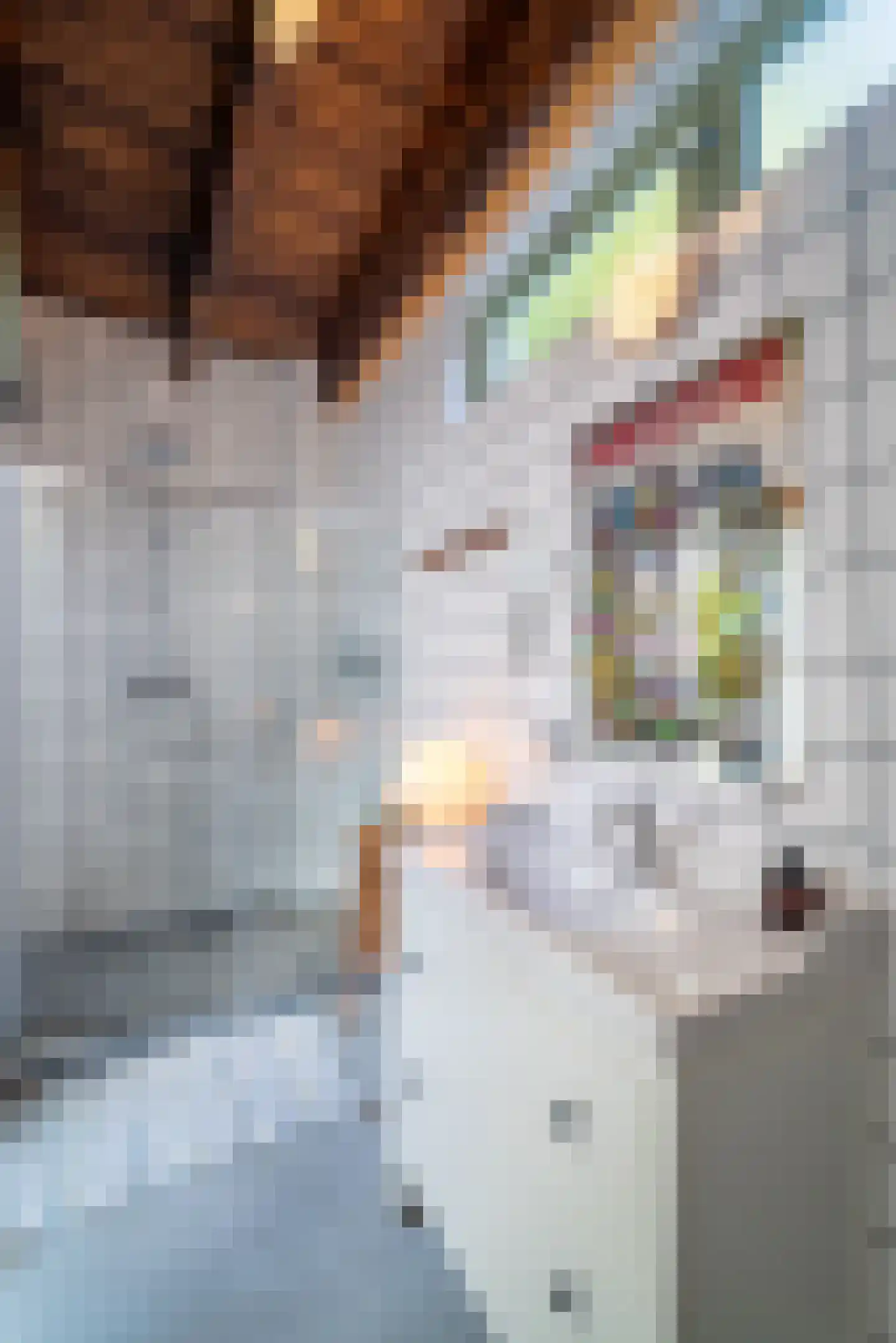 Seringenstraat 19 Zwolle thumbnail 33