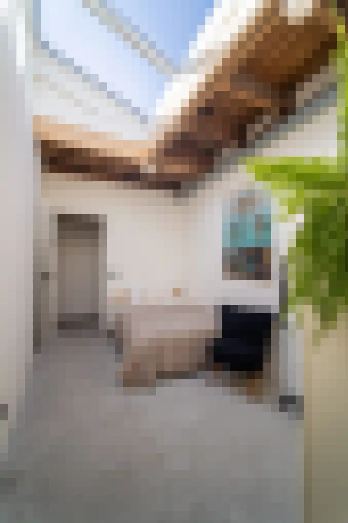 Seringenstraat 19 Zwolle thumbnail 34