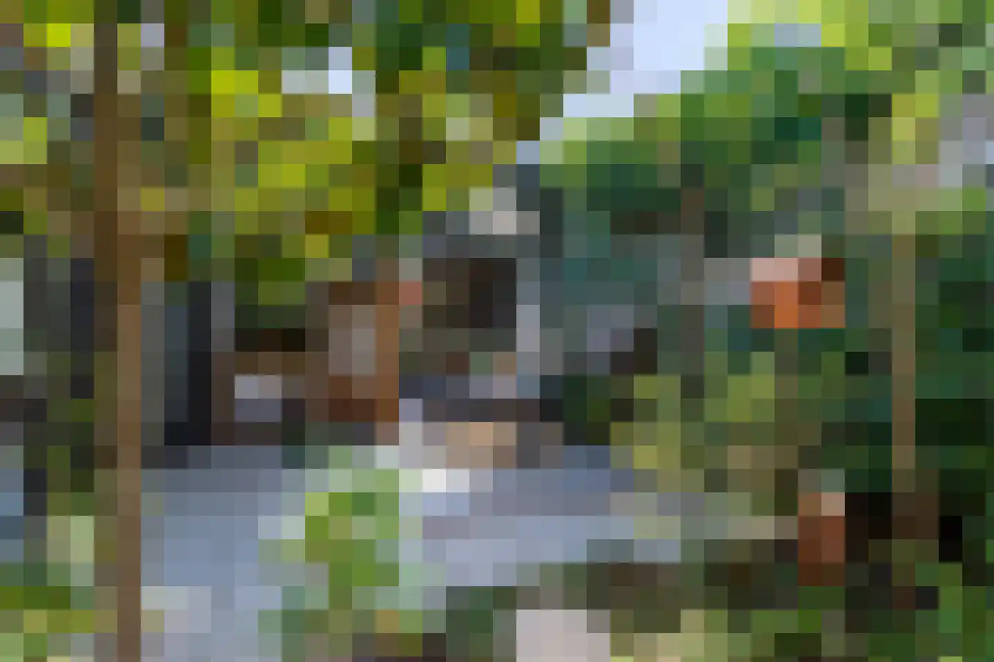 Seringenstraat 19 Zwolle thumbnail 36
