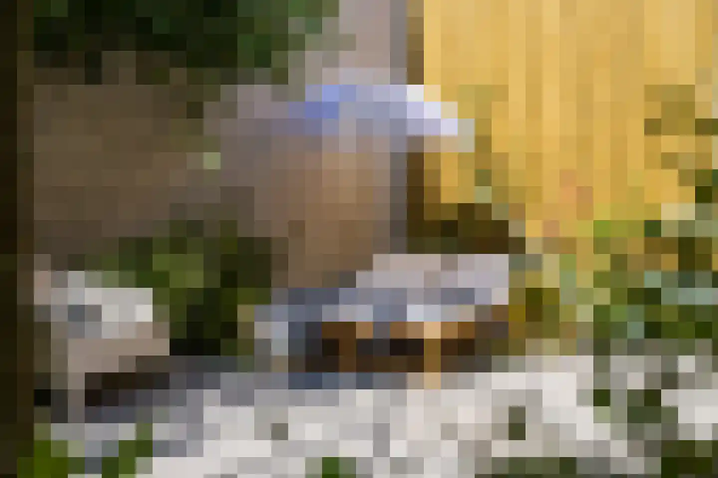 Seringenstraat 19 Zwolle thumbnail 37