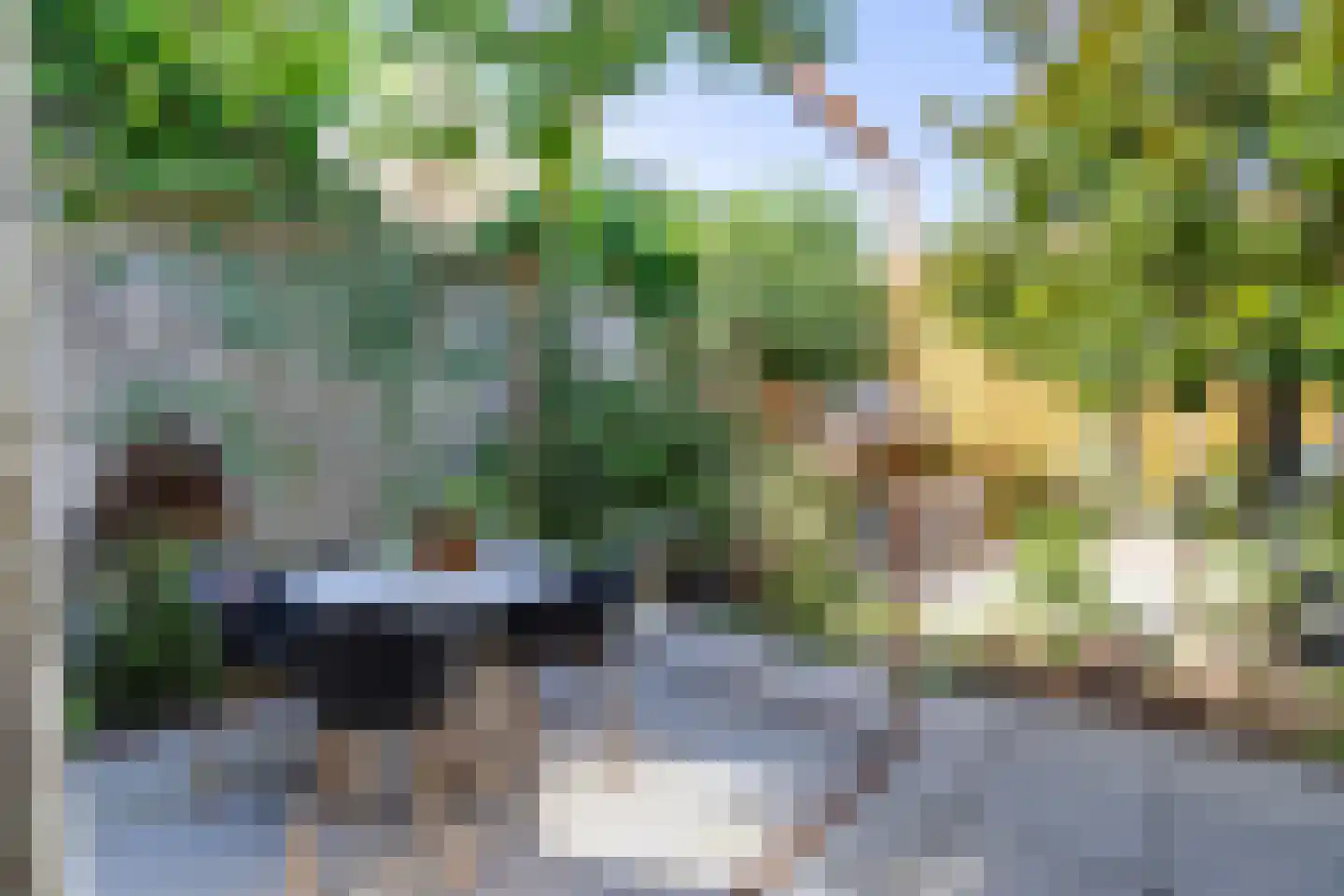 Seringenstraat 19 Zwolle thumbnail 38