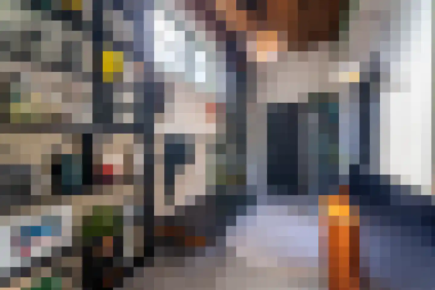 Seringenstraat 19 Zwolle thumbnail 39