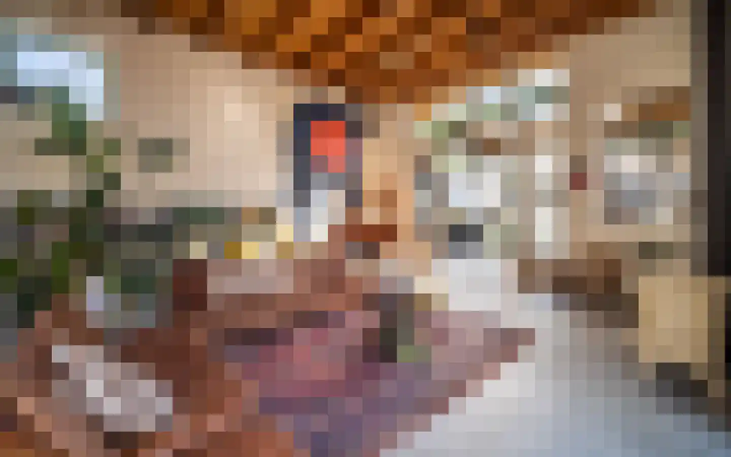 Seringenstraat 19 Zwolle thumbnail 4