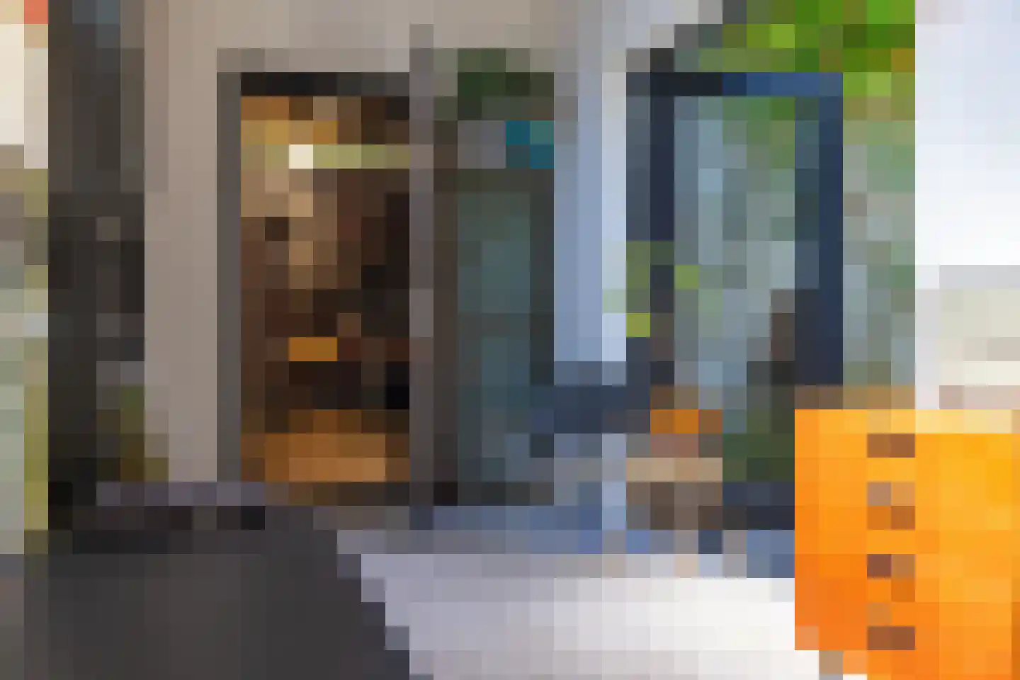 Seringenstraat 19 Zwolle thumbnail 40