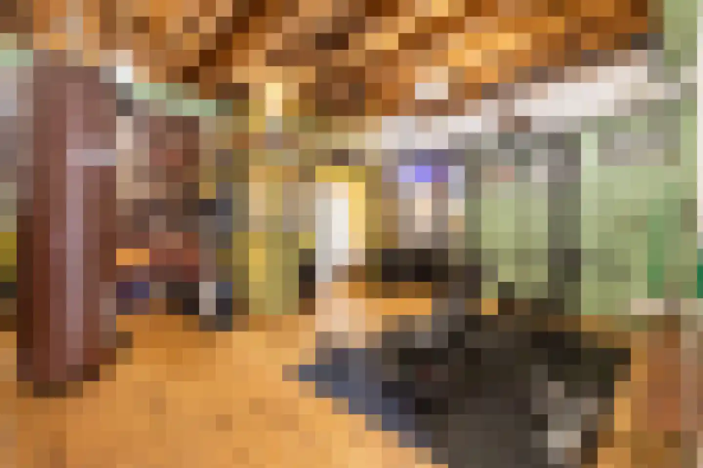 Seringenstraat 19 Zwolle thumbnail 41