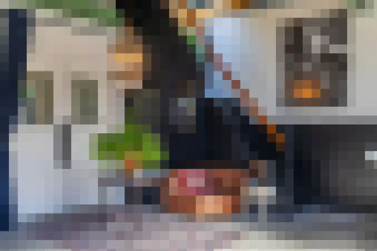 Seringenstraat 19 Zwolle thumbnail 42