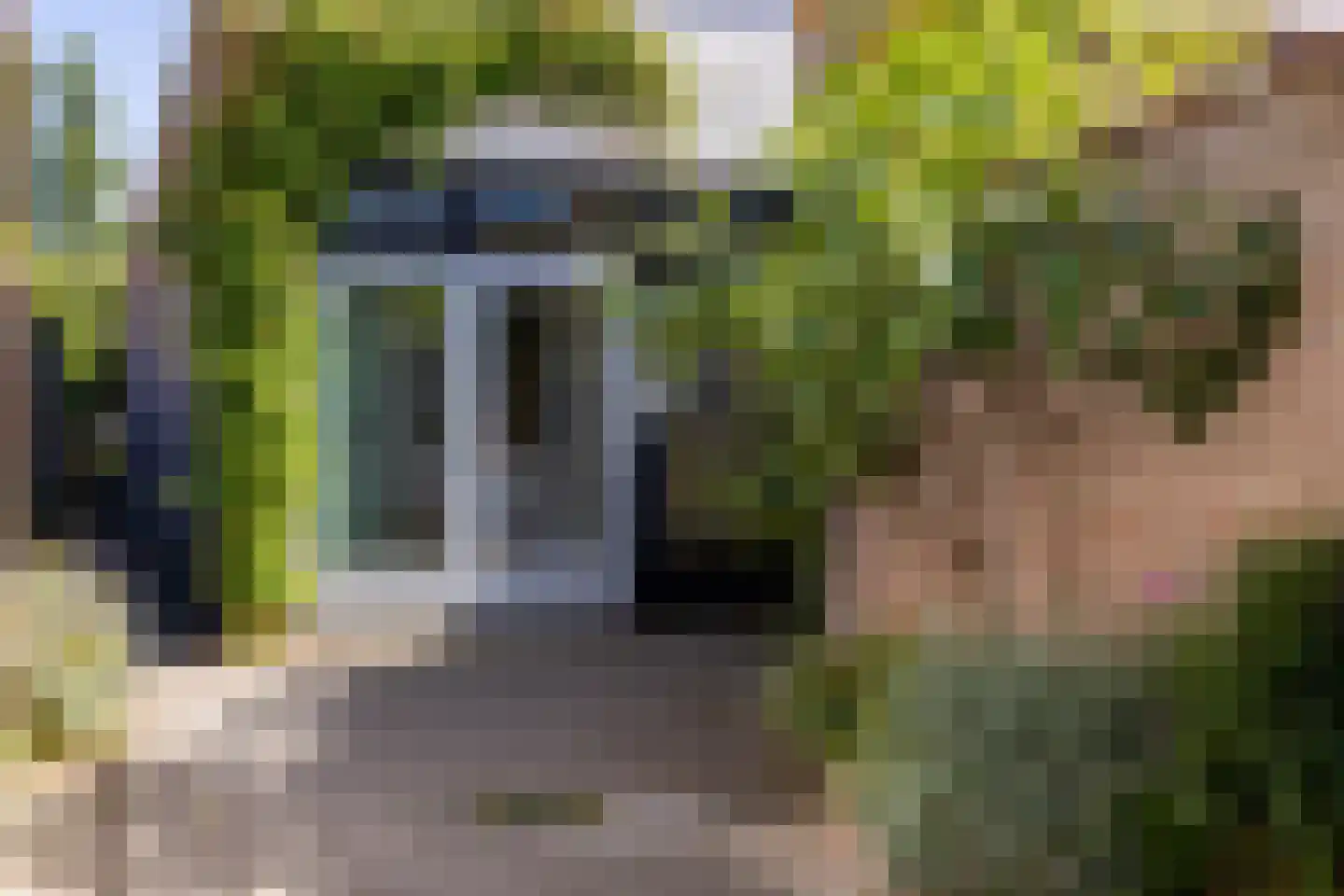 Seringenstraat 19 Zwolle thumbnail 46