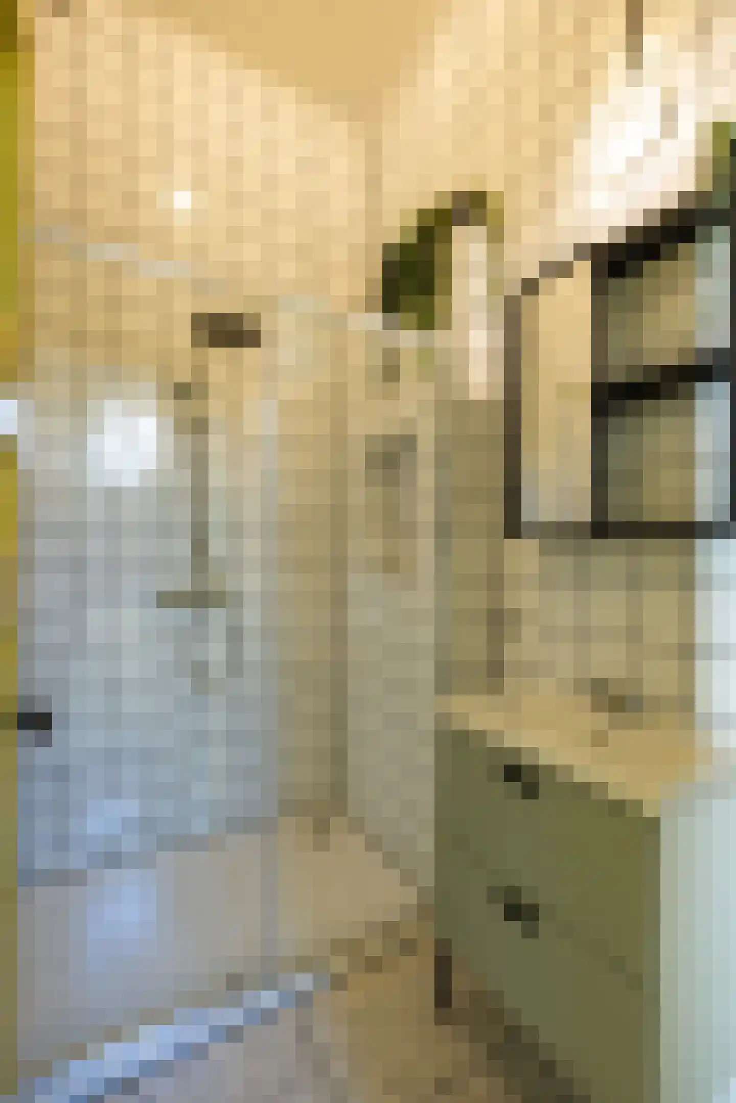 Seringenstraat 19 Zwolle thumbnail 51