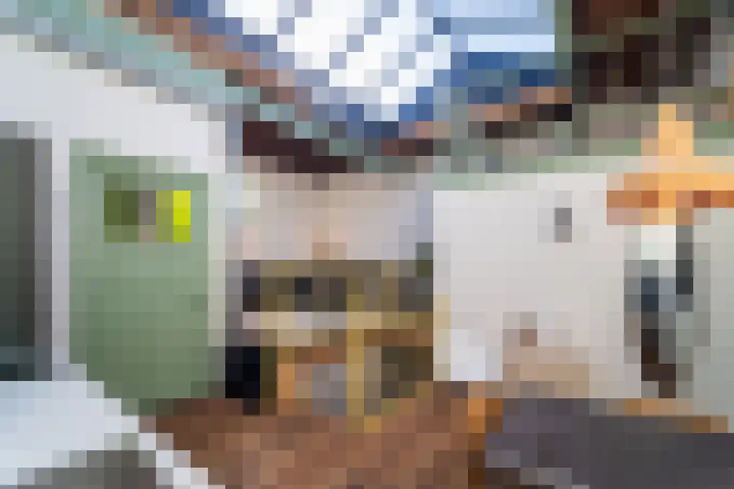 Seringenstraat 19 Zwolle thumbnail 56
