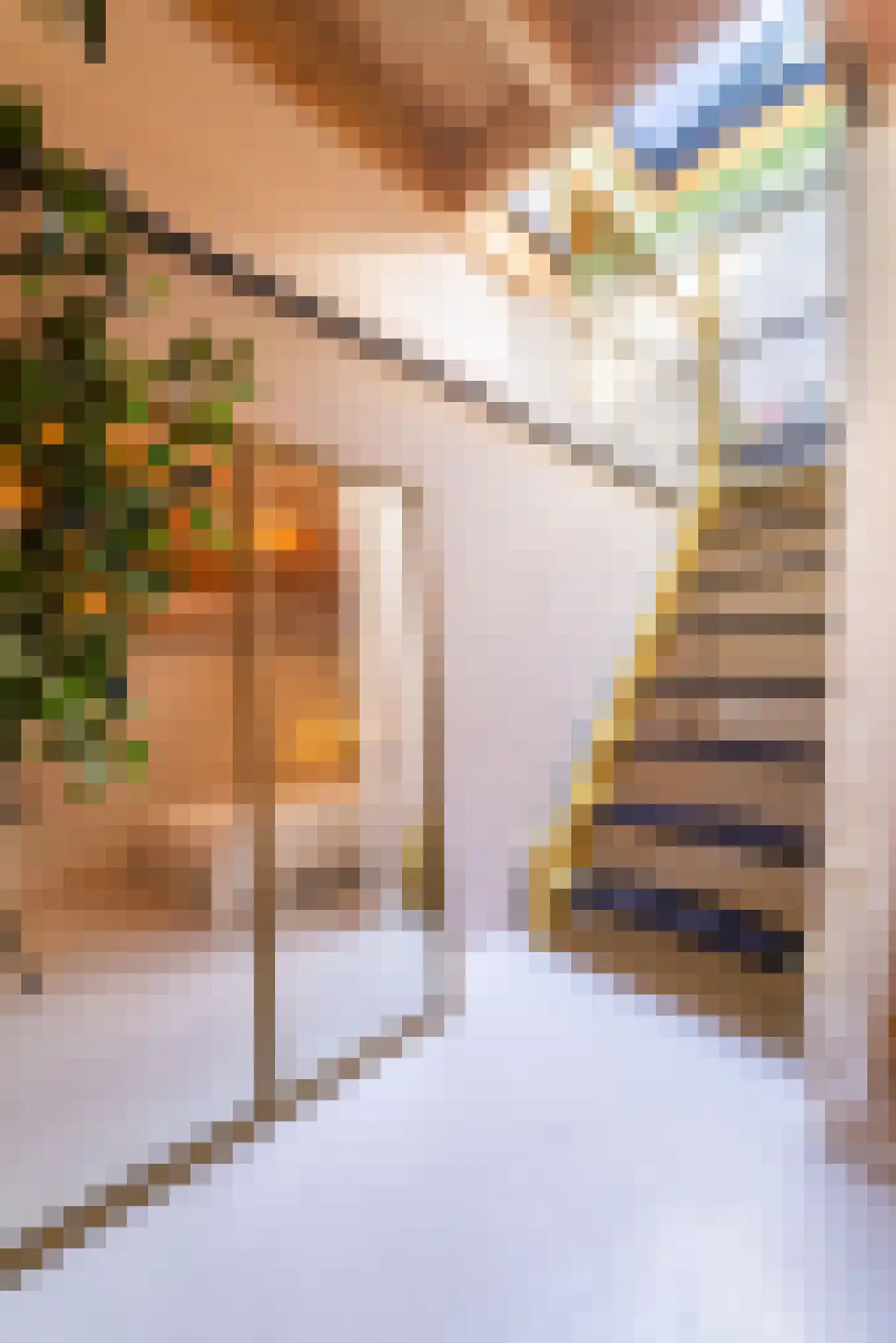 Seringenstraat 19 Zwolle thumbnail 58