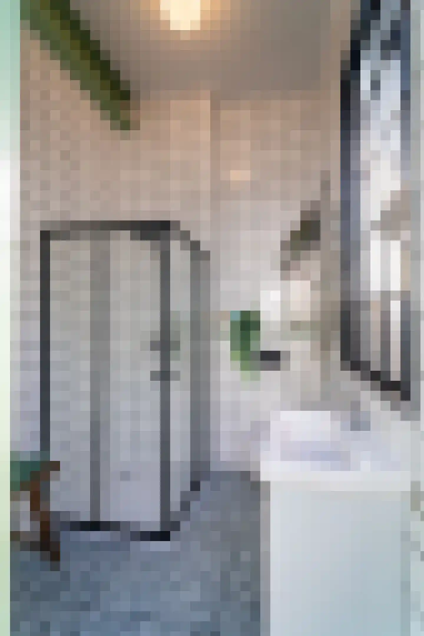 Seringenstraat 19 Zwolle thumbnail 60