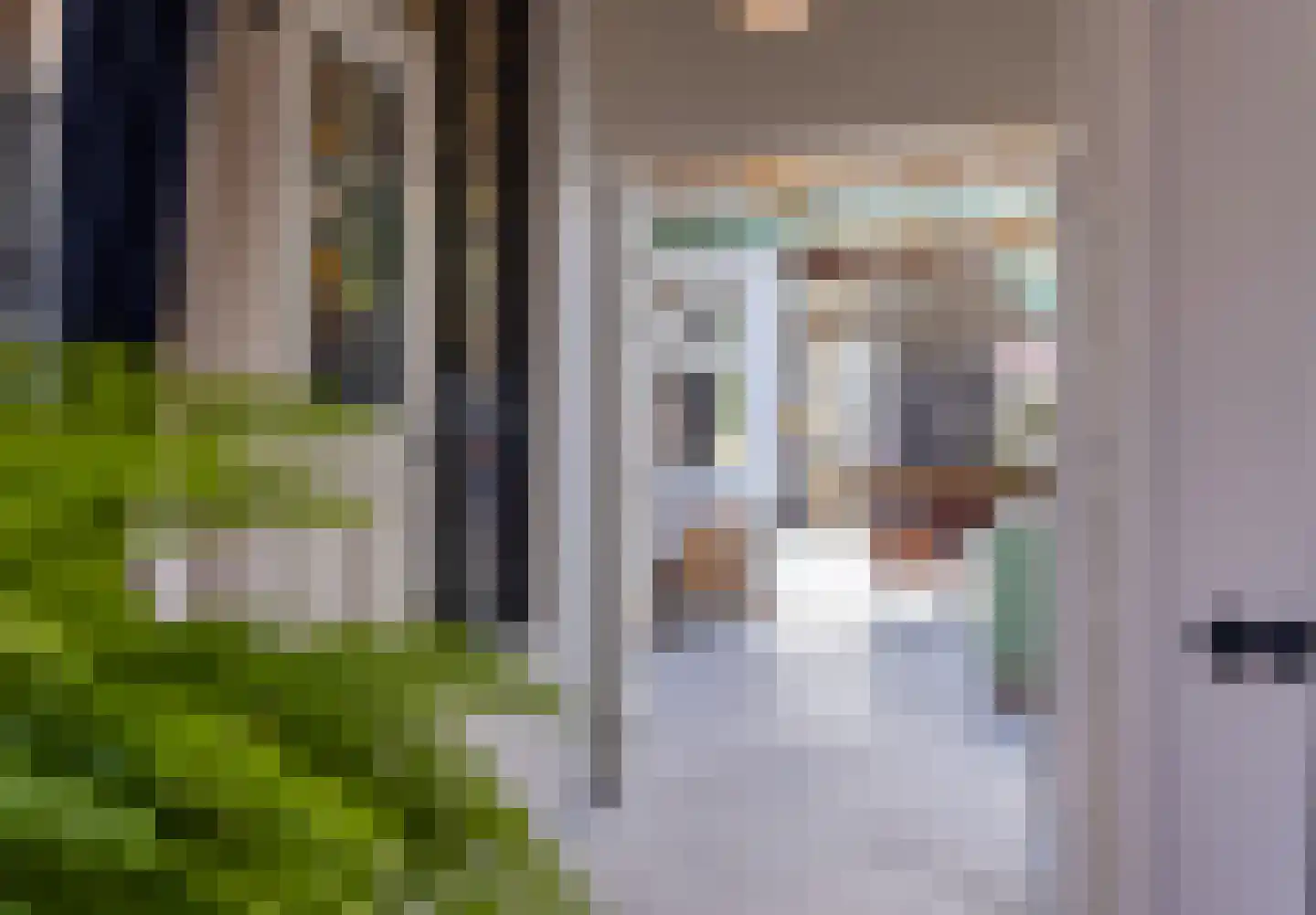 Seringenstraat 19 Zwolle thumbnail 9