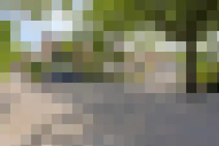 Seringenstraat 20 Rosmalen thumbnail 28