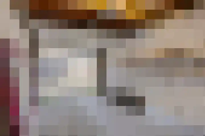 Seringenstraat 20 Rosmalen thumbnail 31