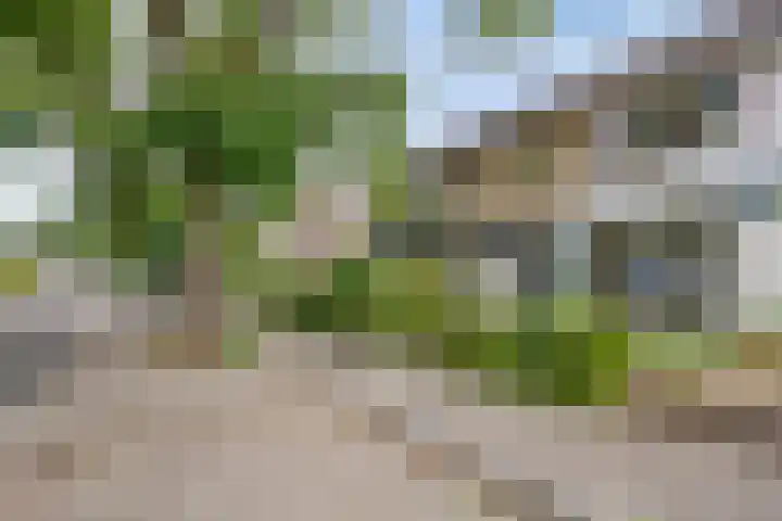 Seringenstraat 20 Rosmalen thumbnail 33