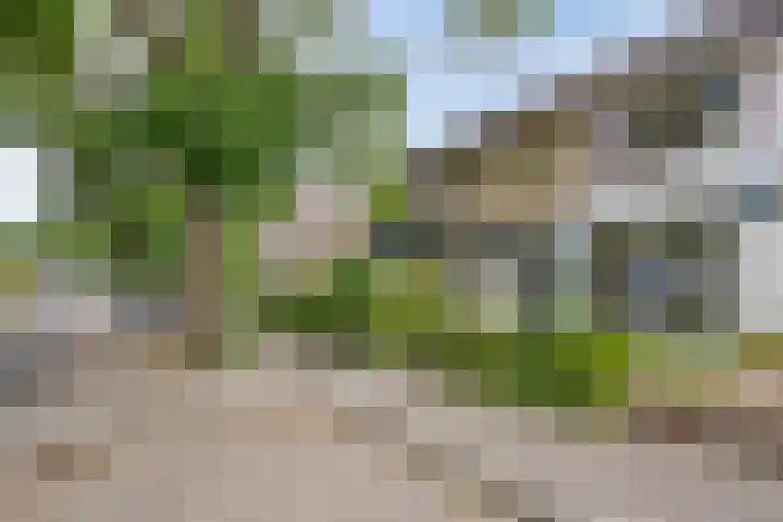 Seringenstraat 20 Rosmalen thumbnail 38