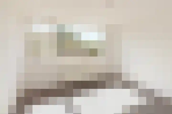 Seringenstraat 21 Oosterhout thumbnail 20