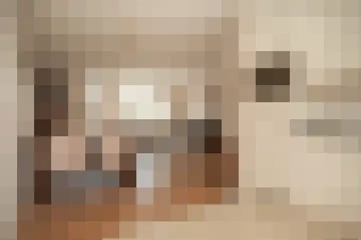 Seringenstraat 21 Opheusden thumbnail 10