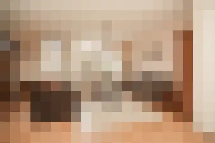 Seringenstraat 21 Opheusden thumbnail 11