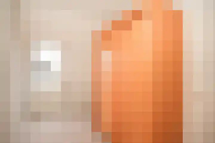 Seringenstraat 21 Opheusden thumbnail 20