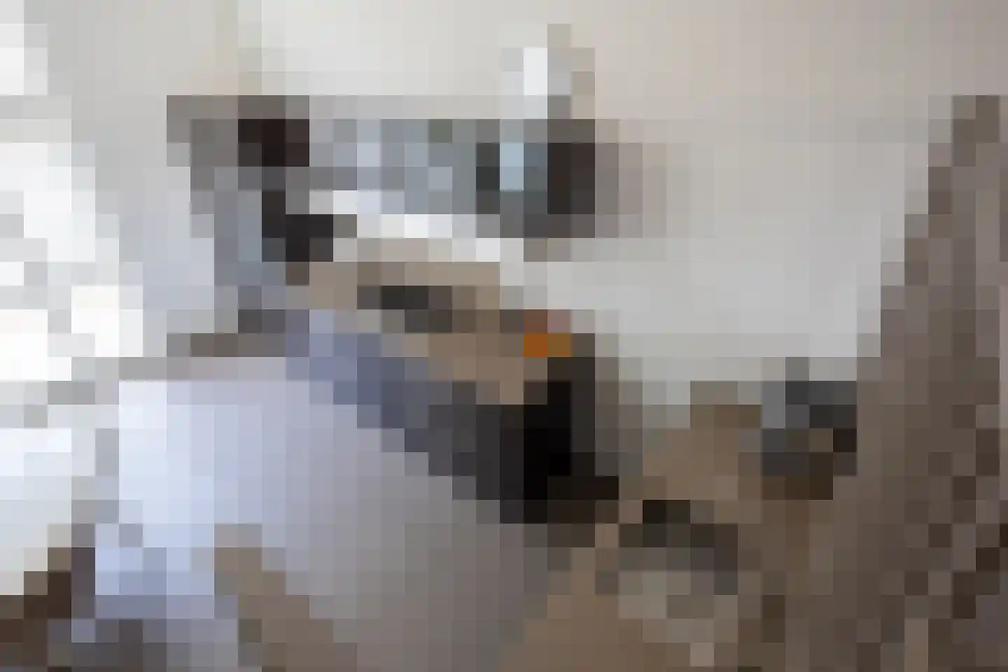 Seringenstraat 22 Aalsmeer thumbnail 10