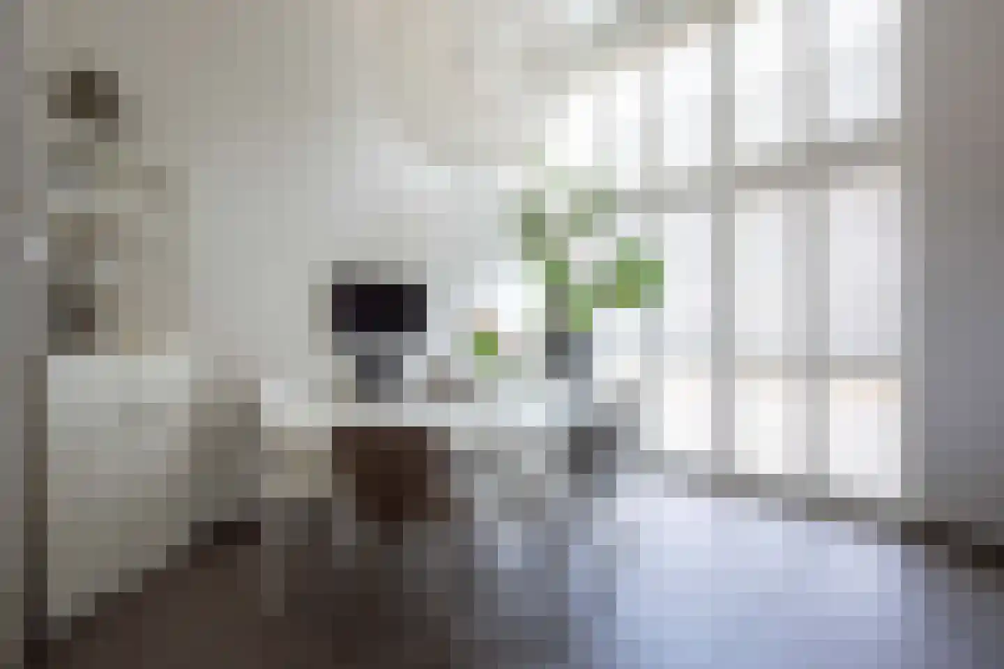 Seringenstraat 22 Aalsmeer thumbnail 13